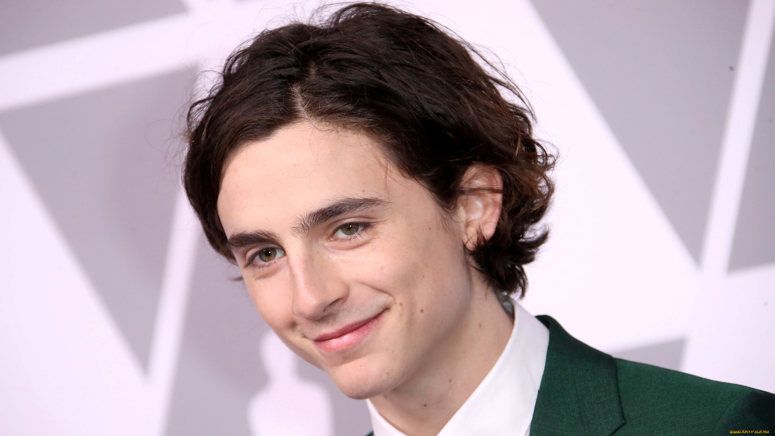 timothee chalamet, , - unsort, timothee, chalamet